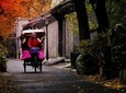 4 Days Beijing Private Tour: Forbidden City, Mutianyu Great Wall