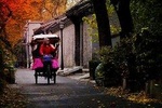 4 Days Beijing Private Tour: Forbidden City, Mutianyu Great Wall