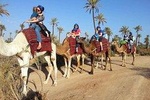Camel ride tour in Marrakech
