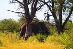7 Days Livingstone & South Luangwa Tour