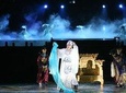 Xian Private Evening Tour: The Everlasting Sorrow Show