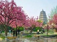 2 Days Xian Small Group Tour: Terracotta Army and City Sightseeing
