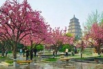 2 Days Xian Small Group Tour: Terracotta Army and City Sightseeing