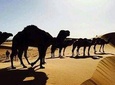 2-Day small group desert tour from fes