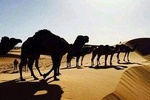 2-Day small group desert tour from fes