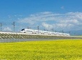 One Day Chengdu Xian Tour by Bullet Train