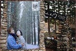 Private Group to Nami Island, the Garden of Morning Calm