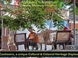 Ivan Bahia, Cachoeira & Recôncavo Cultural Heritage full day-tour from Salvador 