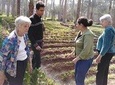 Private guided tour to Giza pyramids, Sphinx and Saqqara necropolis 