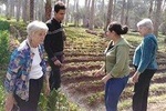 Private guided tour to Giza pyramids, Sphinx and Saqqara necropolis 