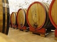 Wine tasting, Valpolicella cellar visit, Amarone and red wines region day tour