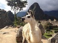 2 Day Sacred Valley Tour & Machu Picchu