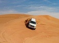 Dubai Morning Safari With Camel Trek