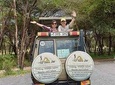 4 Days Tanzania Luxury Safari