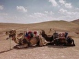 Desert Agafay & Atlas Mountains with Camel Ride Day Trip from Marrakech