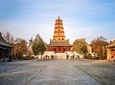 Flexible Xian Terracotta Warriors Day Tour from Shanghai by Flights