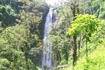 1 Day Materuni Waterfalls