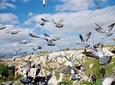 Private Cappadocia Blue Tour