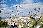 Private Cappadocia Blue Tour