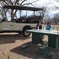 2 Days Zambia, Botswana Tour Package