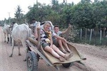 Ox Cart Ride of Rural Cambodia