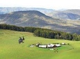Helicopter Tour - Spicers Peak Lodge