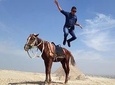 Half Day Tour Giza pyramids on a horse or Camel
