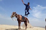 Half Day Tour Giza pyramids on a horse or Camel