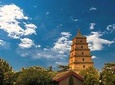 Xian Small Group Day Tour:Terracotta Army, Big Wild Goose Pagoda and City Wall