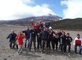 Cotopaxi National Park Private Day Tour
