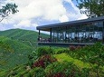 Cameron Highlands Tour From Kuala Lumpur - Private