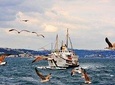 Afternoon Bosphorus Boat and Bus Tour with cable car from Pierre Loti Coffee 