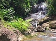 Rainforest Hike and Waterfall Safari