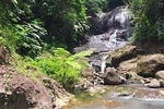 Rainforest Hike and Waterfall Safari