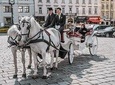 Vienna Private Horse-Carriage Ride With Viennese Delicacies