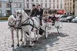 Vienna Private Horse-Carriage Ride With Viennese Delicacies