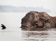 2 Days Akagera National Park Wildlife Safari