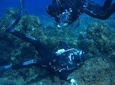 Scuba Diving Courses