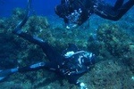 Scuba Diving Courses