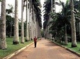 Aburi Gardens Transfers
