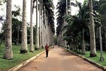 Aburi Gardens Transfers