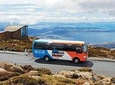 kunanyi / Mt Wellington Explorer Bus - 2 Hour Return Tour