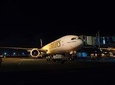Bali Airport to Hotel:Arrival Private Transfer (Night time)