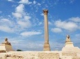 Alexandria Day Tour From Cairo Hotels
