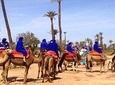 Sunset Camel Ride with tea break in the Palm Grove of Marrakech