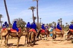 Sunset Camel Ride with tea break in the Palm Grove of Marrakech