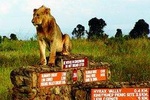 Nairobi National Park half day Excursion using tour van