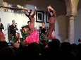 The best Tapas & Flamenco Show - City Tour, Tapas & Wine, and Flamenco Show