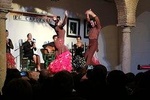 The best Tapas & Flamenco Show - City Tour, Tapas & Wine, and Flamenco Show