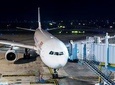 Private Arrival Transfer - Danang Airport to Hotel in Danang 
